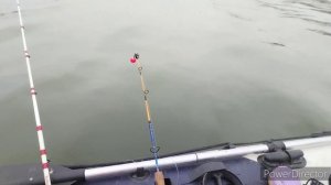 ноябрьская рыбалка, аксай плиты...ждали леща ,а тут рыжий!