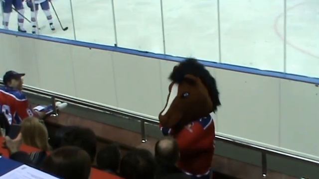 Армейский конь общается с болельщиками смотреть онлайн