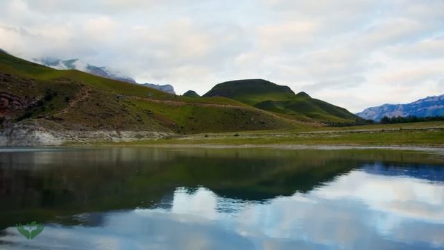 Наблюдение за природой расслабляет ? А прослушивание пианинной музыки лечит сердце и душу смотреть онлайн
