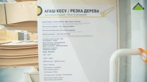 Леруа Мерлен Казахстан: распил дерева и колеровка краски