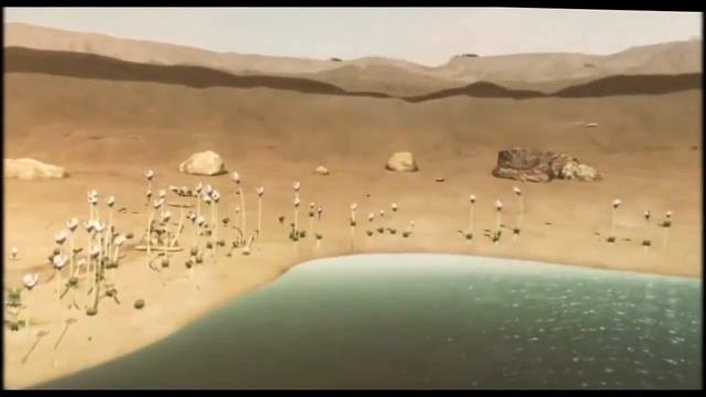 Внеземные Существа  Как Выглядят Инопланетяне