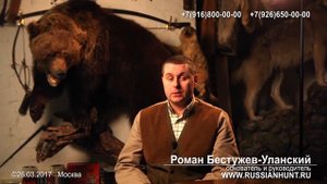 СТРУЯ КАБАРГИ, МУСКУС КУПИТЬ.
