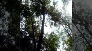 Марта и Мишка.mp4