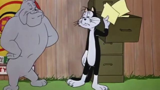 Early to Bet - Gesundheit смотреть онлайн