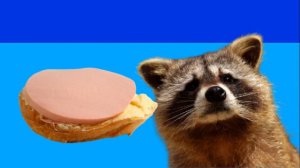 Угадай пародию на Мышку Сосиску - часть 14