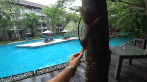 В семейном отеле от MARRIOTT на БАЛИ. Courtyard Bali Nusa Dua Resort