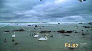 Каспийское море в Актау