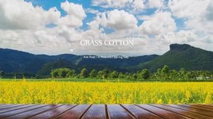 Теплая красивая музыка, спокойный и расслабляющий плейлист.