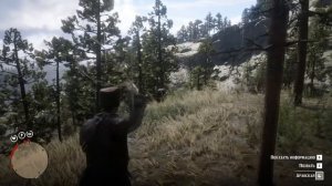 ГДЕ НАЙТИ РЕДКУЮ АРАБСКУЮ ЛОШАДЬ В RDR 2?