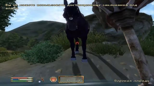 Прохождение The Elder Scrolls IV: Oblivion с MegOOgurk'ой Часть №2(А у меня свой замок) смотреть онлайн