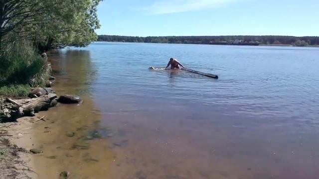 бультерьер. подготовка к работе спасателем смотреть онлайн