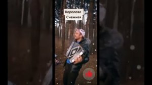 королева снежная на гармошке