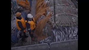 Мы уходим тихим утром из порта