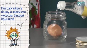 Книга 1 / Опыты с куриным яйцом / 20 - Резиновое яйцо