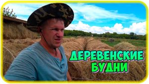 Сделал уткам большой выгул / Привезли сено