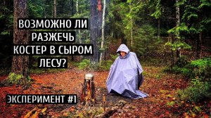 Как развести костёр в СЫРОМ ЛЕСУ? / Эксперимент №1 / Костёр ПОСЛЕ ДОЖДЯ