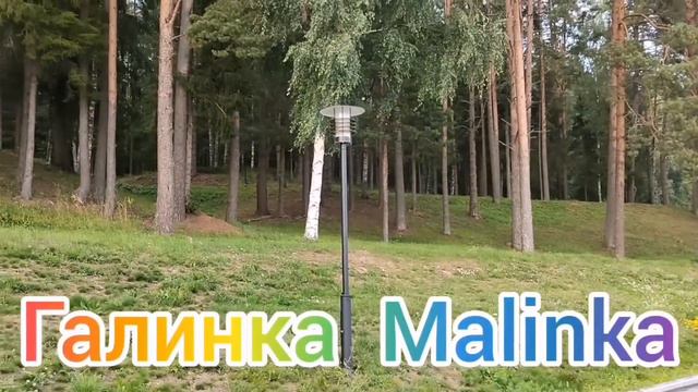 Ольга Уралочка live / Сафар не муж Уралки /Живут отдельно /Обзор Влогов /Уралочка и Сафар /