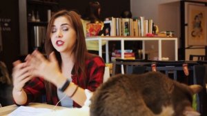 ОПАСНО ДЛЯ КОШЕК! САМЫЕ ВРЕДНЫЕ РАСТЕНИЯ ДЛЯ КОШЕК