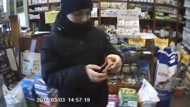 ЗНАКОМСТВО С МАИСОВЫМ ПОЛОЗОМ | ПОКУПАЮ ЭУБЛЕФАРА???!!! смотреть онлайн