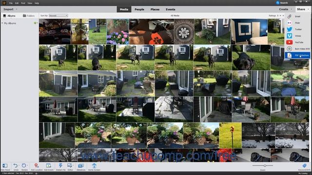 Photoshop Elements 2020 Tutorial Photo Sharing Adobe Training смотреть онлайн