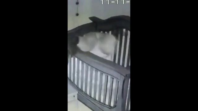 Топовая подборка приколов#.mp4 смотреть онлайн