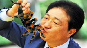 Самые опасные ДЕЛИКАТЕСЫ в мире! Еда для экстрималов!