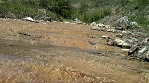 Золотая речка.mp4