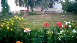 Часть 9. Перелом пятки. Прошло 5 месяцев. 6 августа 2021г.