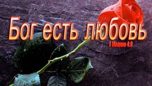 Кристина Рой - И стал Свет