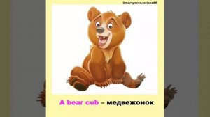Английские слова | У обезьянки  a monkey