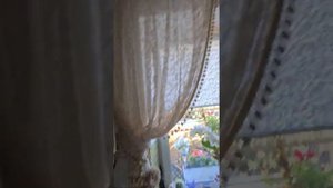 взорвалась сгущенка