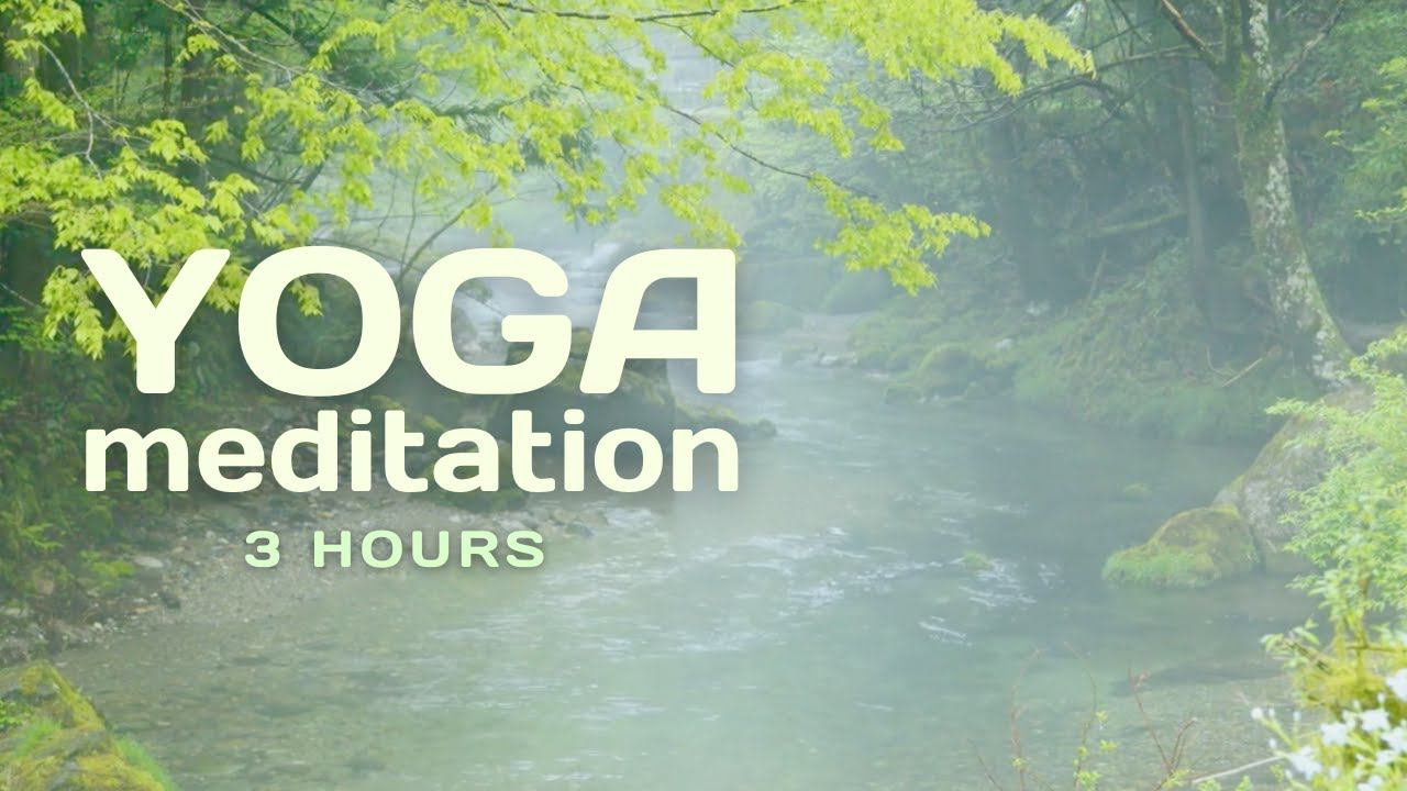 Yoga Meditation Music 3 Hours (Vikasa Academy) смотреть онлайн