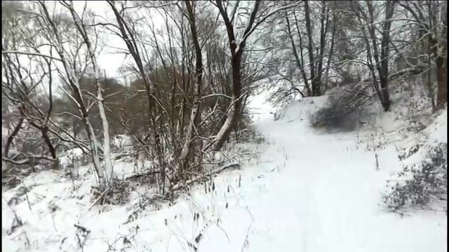 Нашел закладку в лесу(клад или что?) смотреть онлайн