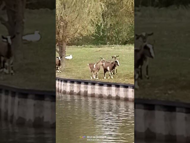 7 октября 2022 г. смотреть онлайн