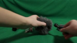 Обзор RODE VideoMicro