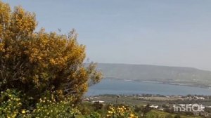 дорога Рош Айн - озеро Кинерет. Израиль. 01.04.22