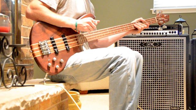 Washburn Taurus T24 with Marcus Miller Preamp