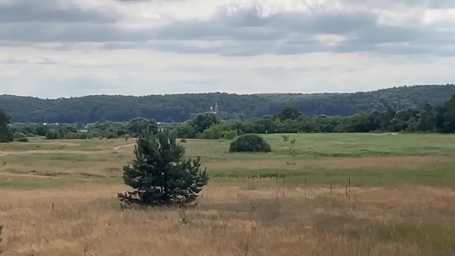 iPhone 12 vs 12 Pro - подробное сравнение смотреть онлайн