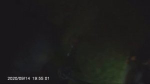 Золотое кольцо упало в траву как и чем искать?