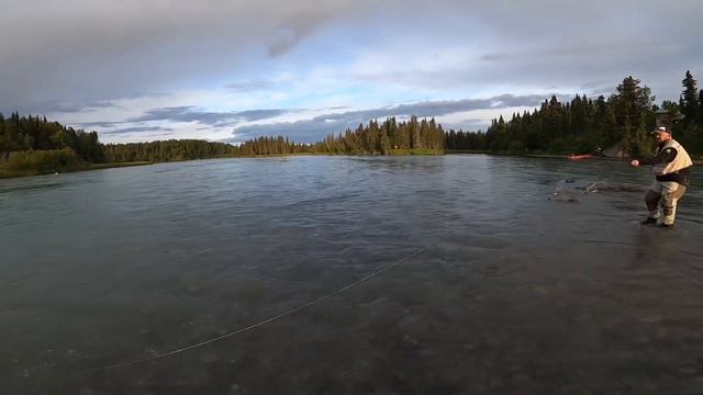 King Salmon Fishing 2020