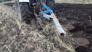 Пахота трактором мтз 80 плуг плн 3-35