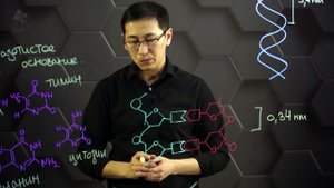 Строение молекулы дезоксирибонуклеиновой кислоты. 10 класс.