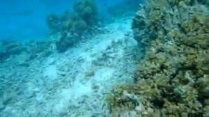 Maldives 2023 Cinnamon Dhonveli