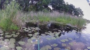 За карасем на лесное озеро