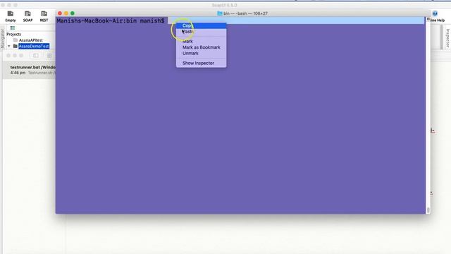 SoapUI Tutorial #30 - Run TestCase, TestSuite, Project from CommandLine