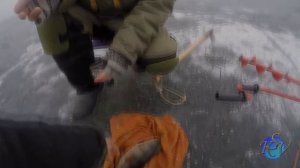 Ловля Окуня на Блесну с подвесным тройником. Раскачиваем лунку. Окунь в траве