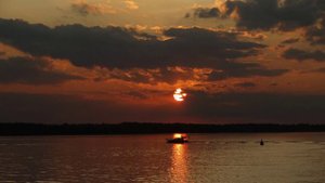 летит герань, летит ланцет