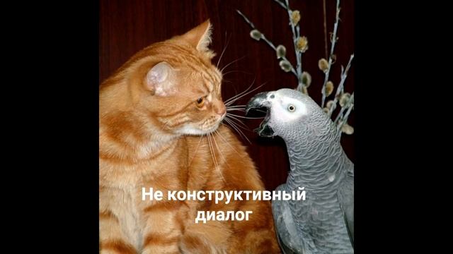 ВОСТОЧКА. не конструктивно смотреть онлайн