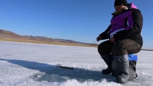 В погоне за щукой. Жерлицы, балансир, опарик март 2024