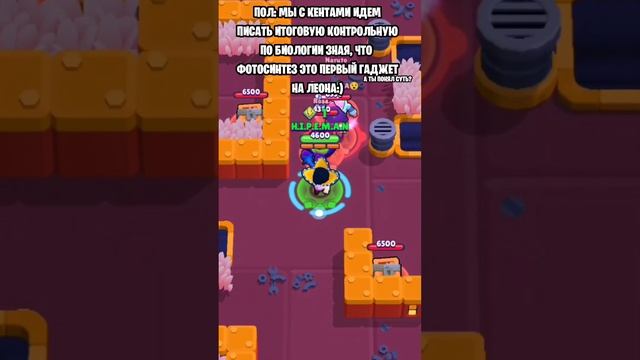 НЕ ВСЕ ПОЙМУТ ЭТО! #brawlstar #brawlstarsgame #bs #byebyeboxes #brawlstarsmemes #elbruso #pyf #бокс